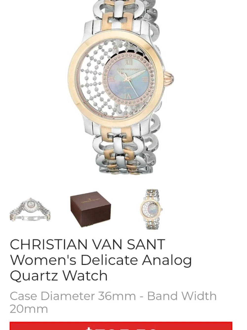 Christian van Sant Watch